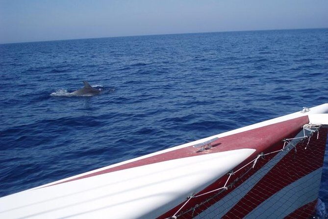 Half-Day Catamaran Trip in Menorca - Who Will Love This Tour?