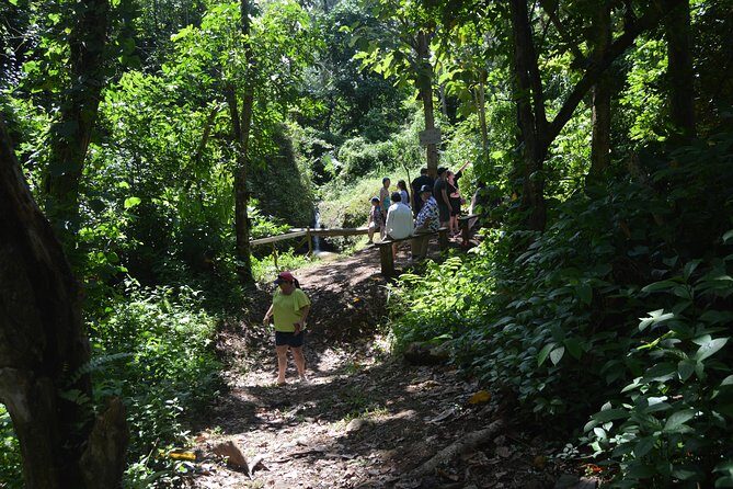 Half-Day Center of Puerto Rico Cultural Tour - The Value of the Tour