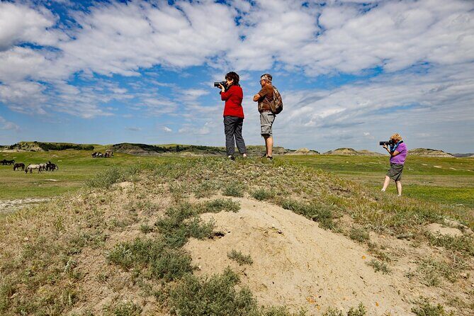 Half Day Chasing Horses Wildlife Photography Experience in North Dakota - An In-Depth Look at the Tour Experience