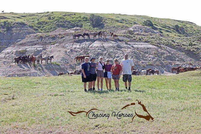 Half Day Chasing Horses Wildlife Photography Experience in North Dakota - Who Should Consider This Tour?