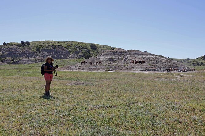 Half Day Chasing Horses Wildlife Photography Experience in North Dakota - Final Thoughts