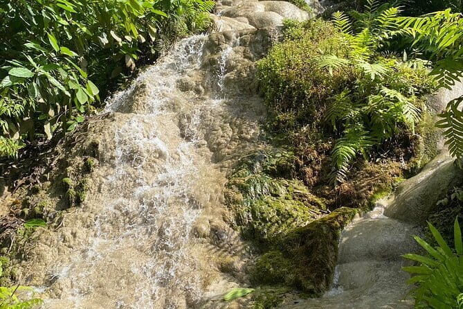 Half Day Chiang Mai Sticky Waterfall and Hotel Transfer - Key Points