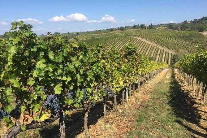 Half-day Chianti Classico Wine tour from Florence - Small Group - The Authenticity and Value of This Tour