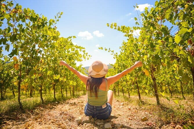 Half day Chianti Vineyard Escape from Florence with Wine Tastings - Key Points