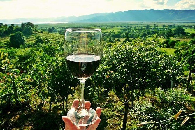 Half-Day Chianti Wine and Olive Oil Tour from Viareggio - A Deep Dive into the Tour Experience