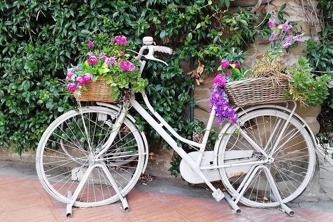 Half-Day Chianti Wine and Olive Oil Tour from Viareggio - Who Will Love This Tour?