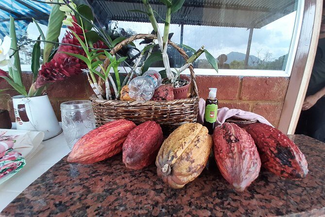 Half-day Chocolate Workshop - Cacao Farm - Experience the Sweet Side of Ecuador: A Half-day Chocolate Workshop at a Cacao Farm
