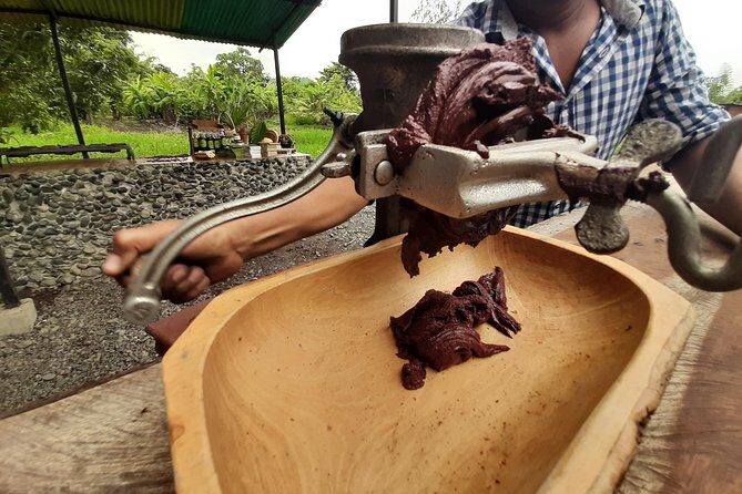 Half-day Chocolate Workshop - Cacao Farm - Key Points