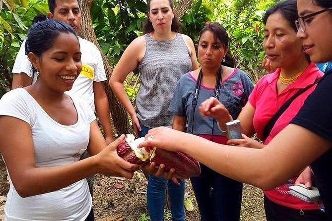Half-day Chocolate Workshop - Cacao Farm - Who Will Enjoy This Tour?