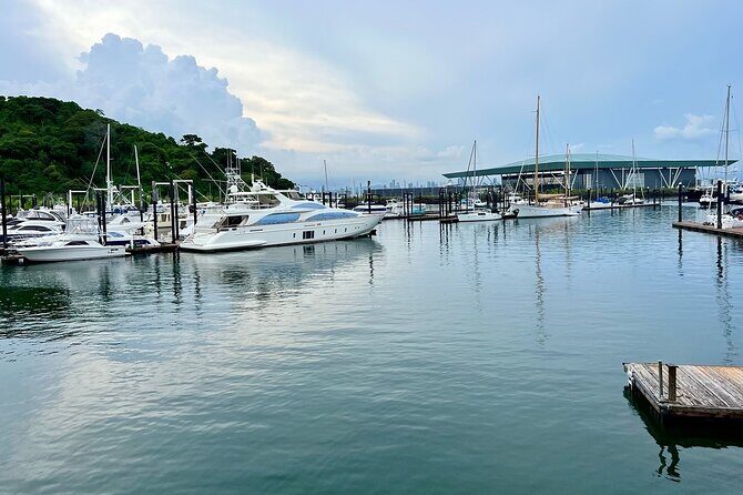 Half Day City and Panama Canal Tour - Exploring the Panama Canal, Amador Causeway, and Casco Antiguo