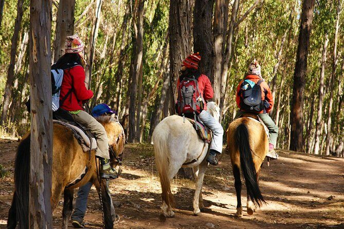 Half day: City Horse Riding - Mistic Tour - Group Service - Key Points