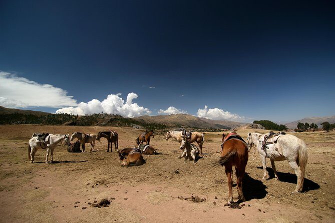 Half Day - City Horse Traditional Riding Tour Group Service - A Practical Look at the Half Day - City Horse Traditional Riding Tour in Cusco