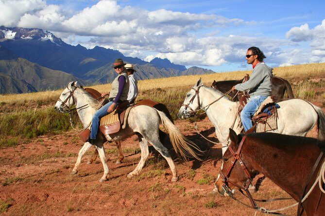 Half Day - City Horse Traditional Riding Tour Group Service - Who Will Love This Tour?