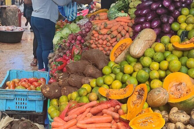 Half-day City tour cultural from punta cana for small group - Key Points