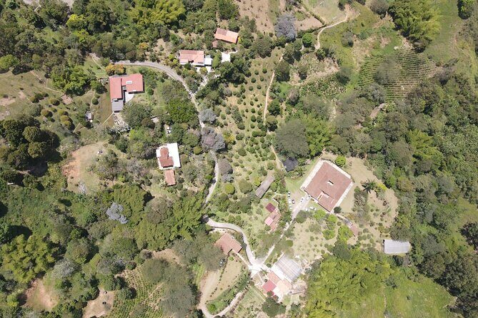 Half-day coffee tour at a coffee farm in Medellin. - FAQs