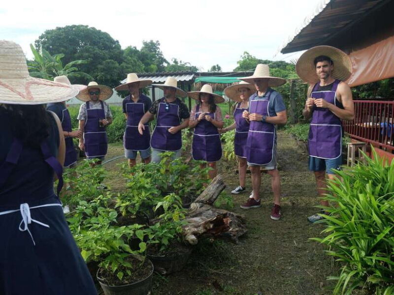Half Day Cooking Class at Organic Farm & City Garden&Market - A Deep Dive into the Experience