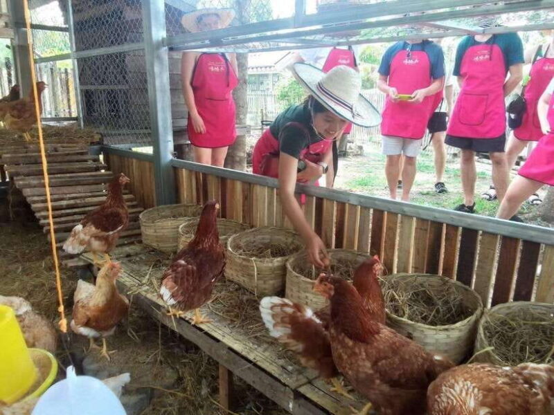 Half Day Cooking Class at Organic Farm & City Garden&Market - Final Thoughts: Is It Worth It?