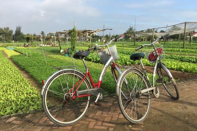 Half Day Cooking Class At Tra Que Vegetable Village Hoi An - What to Expect on Your Day in Tra Que Village