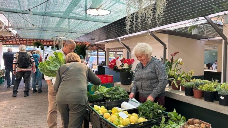 Half-Day Country Market Tour on Madeira Island - Madeira’s Authentic Flavors and Views: A Review of the Half-Day Country Market Tour