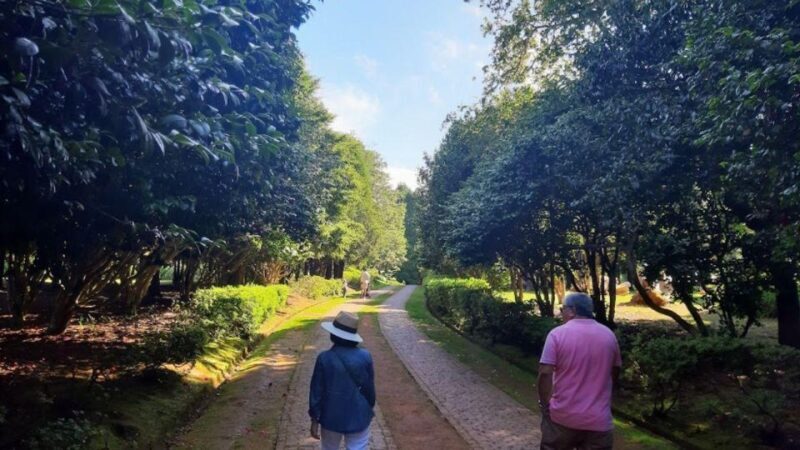 Half-Day Country Market Tour on Madeira Island - FAQs about the Madeira Half-Day Tour