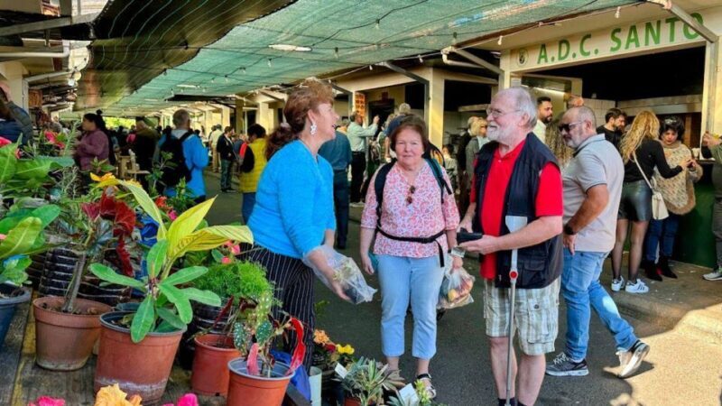 Half-Day Country Market Tour on Madeira Island - Final Thoughts