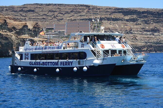 Half-Day Cruise Tour-Dolphin and Whale Watching - Final Thoughts: Is It Worth It?