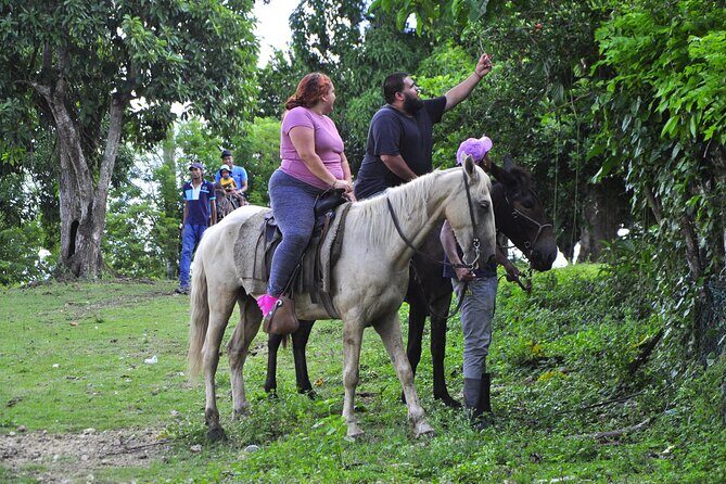 Half-Day Cultural Safari - Final Thoughts: Is it Worth It?