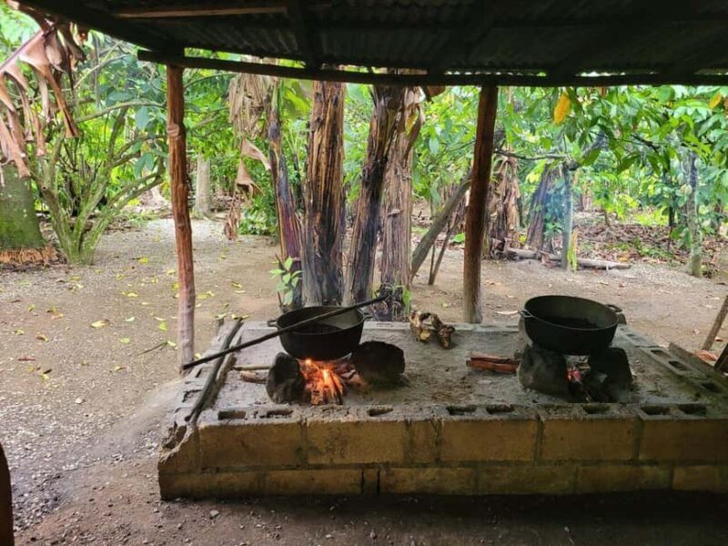 Half-day cultural safari to Higüey with lunch - The Sum Up