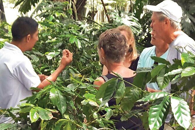 Half-Day Cultural Safari Tour from Punta Cana - FAQs