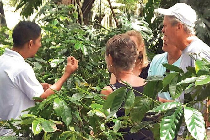 Half-Day Cultural Safari Tour from Uvero Alto - Who Is This Tour Best For?