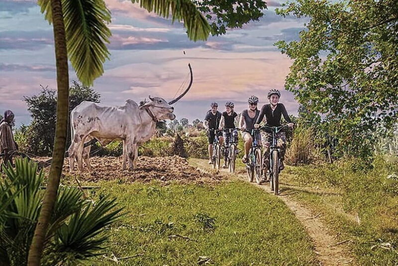 Half-Day Cycling to Discover Battambang's Rural Livelihoods - Exploring Battambang’s Rural Ways by Bike