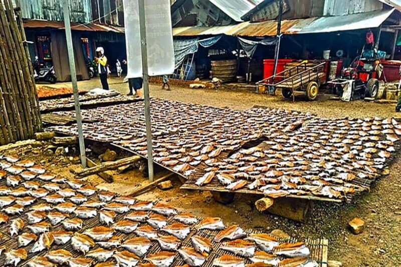 Half-Day Cycling to Discover Battambang's Rural Livelihoods - Who Will Love This Tour?