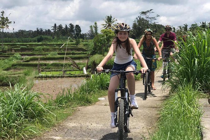 Half Day Cycling Tour ( Manual Bike ) - Introduction: A Scenic Spin Through Bali’s Heartland