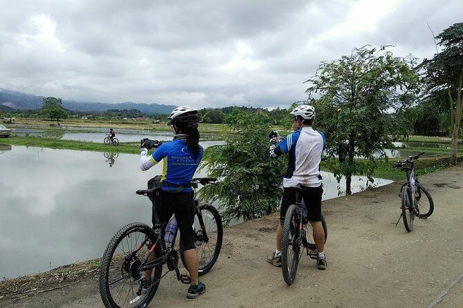 Half Day Cycling Tour to the White temple - Exploring Chiang Rai’s Countryside by Bike