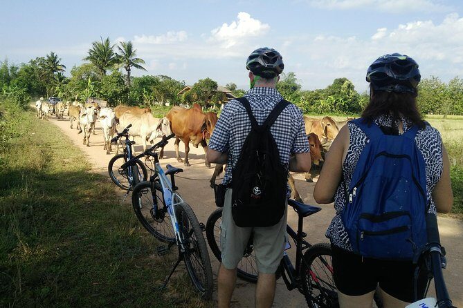 Half Day Cycling Tour to the White temple - Who Should Consider This Tour?