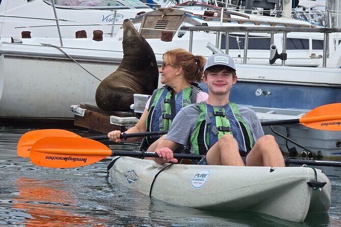 Half Day Dana Point Kayak and Hike - Discover Dana Point with a Half-Day Kayak and Hike Tour