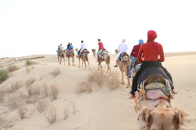 Half Day Desert Safari Jaisalmer - The Complete Breakdown of the Desert Safari Experience