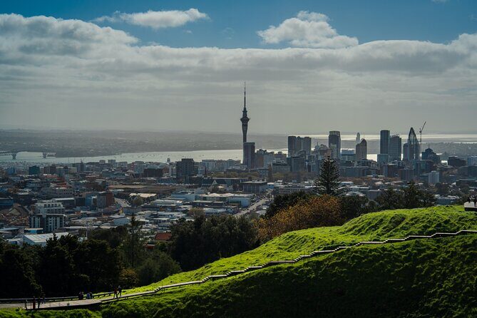 Half-day Discover Auckland City Sightseeing Tour - Why This Tour Offers Great Value