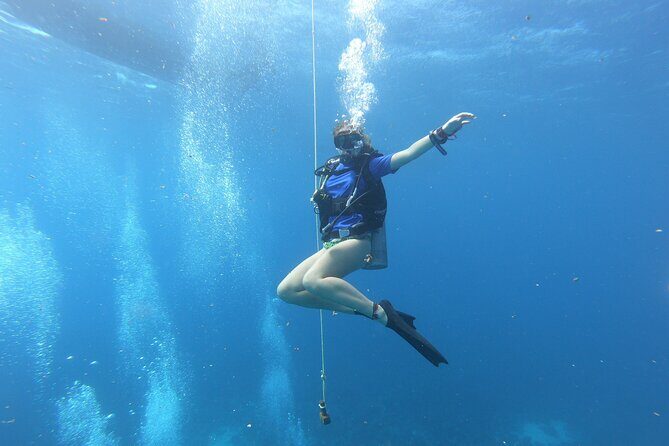 Half-Day Dive Tour in San Andres Island (CERTIFIED DIVERS ONLY) - Diving into the Details: What You Can Expect