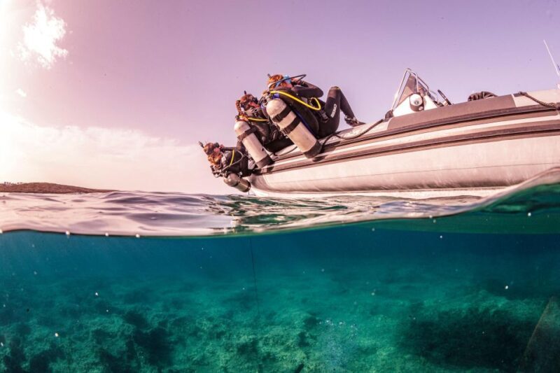 Half Day Dive Trip for Certified Divers - What You Can Expect from This Crete Dive Experience