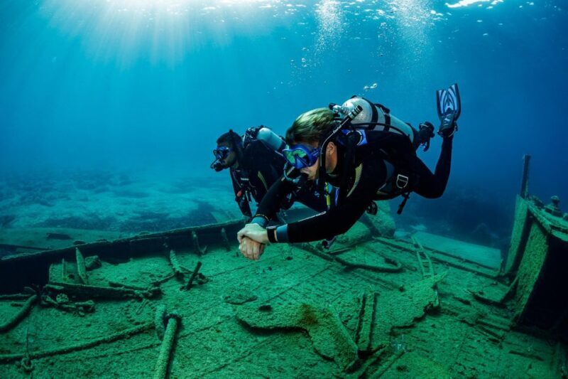 Half Day Dive Trip for Certified Divers - Why This Tour Is a Great Value