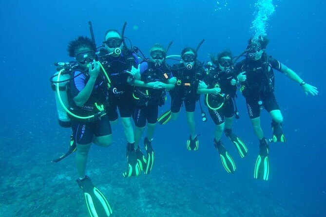 Half Day Diving adventure with Transportation Included - Why This Tour Offers Great Value