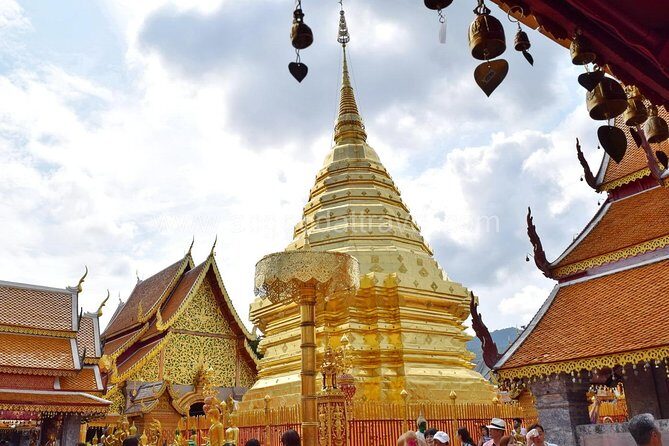 Half Day Doi Suthep Temple and Palad Temple (Private tour) - The Value of This Tour