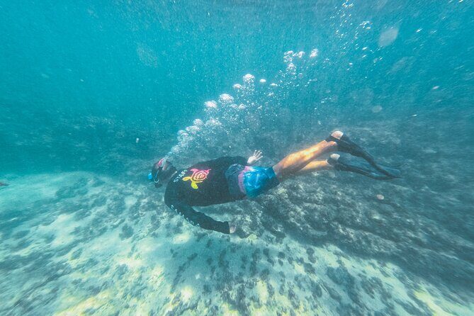 Half-Day Dolphin Watching and Snorkeling in Samara - A Deep Dive into the Samara Dolphin and Snorkeling Tour