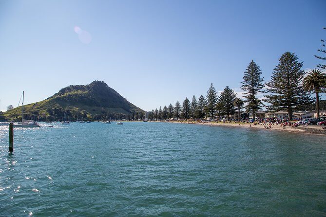 Half Day Dolphin Watching Cruise (Departing from Rotorua) - Final Thoughts