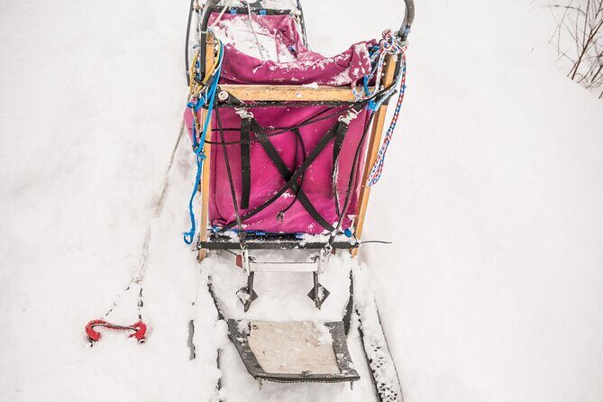 Half Day "Drive Your Own Dog Team" Dog Sledding Tour - Frequently Asked Questions