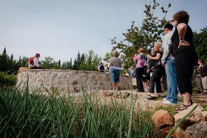 Half day Dubrovnik Countryside Gastro Experience - Who Will Love This Tour?