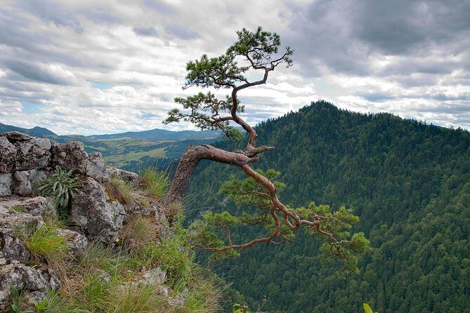 Half-Day Dunajec River Rafting tour from Krakow - Experience the Thrill and Beauty of Dunajec River Rafting from Krakow