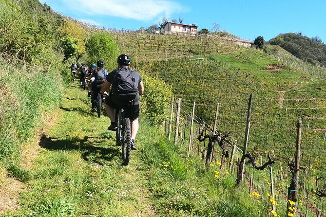 Half-Day E-Bike Tour in Prosecco Hills with Prosecco Tasting - Exploring the Prosecco Hills on Two Wheels