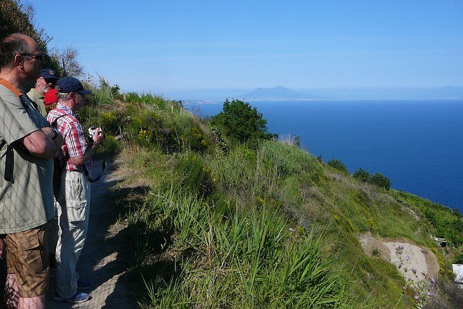 Half-day east coast hike in Ischia island with pick-up - Who Would Love This Tour?